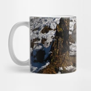 Arctic Wolf Mug